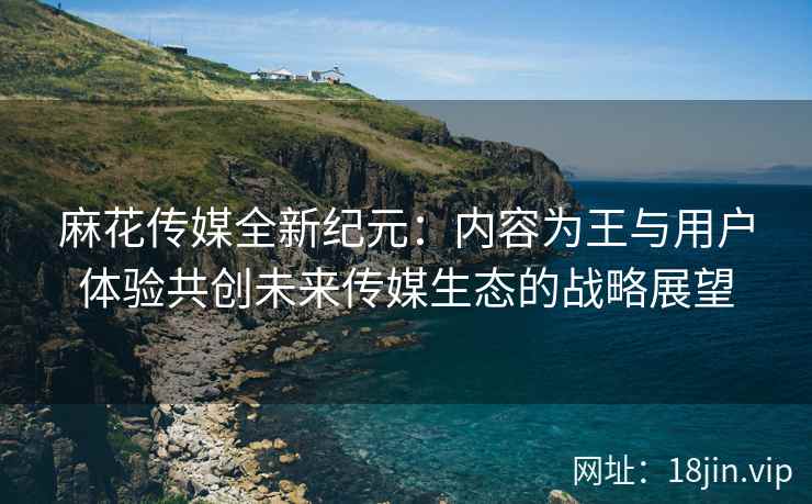 麻花传媒全新纪元：内容为王与用户体验共创未来传媒生态的战略展望