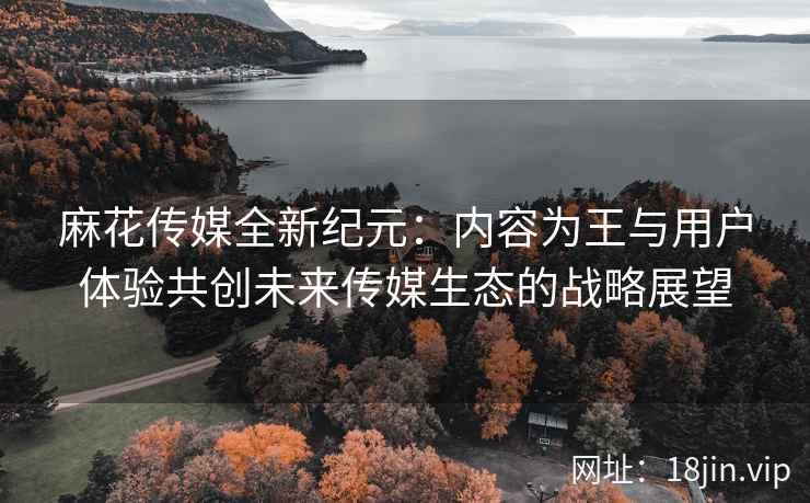 麻花传媒全新纪元：内容为王与用户体验共创未来传媒生态的战略展望  第2张