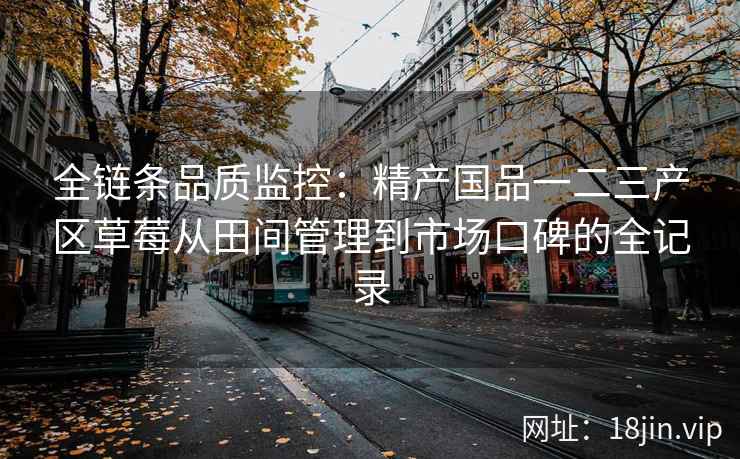 全链条品质监控：精产国品一二三产区草莓从田间管理到市场口碑的全记录  第2张