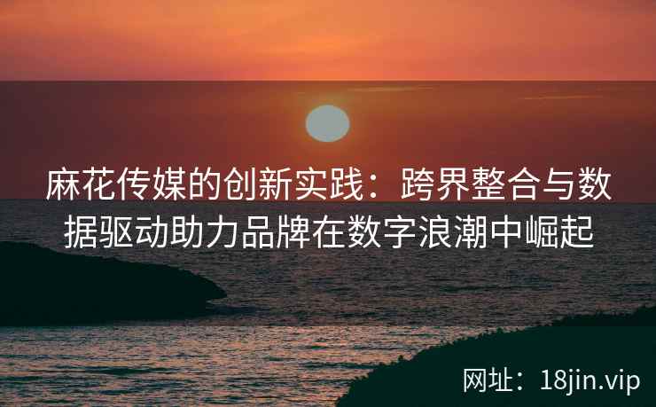 麻花传媒的创新实践：跨界整合与数据驱动助力品牌在数字浪潮中崛起  第2张